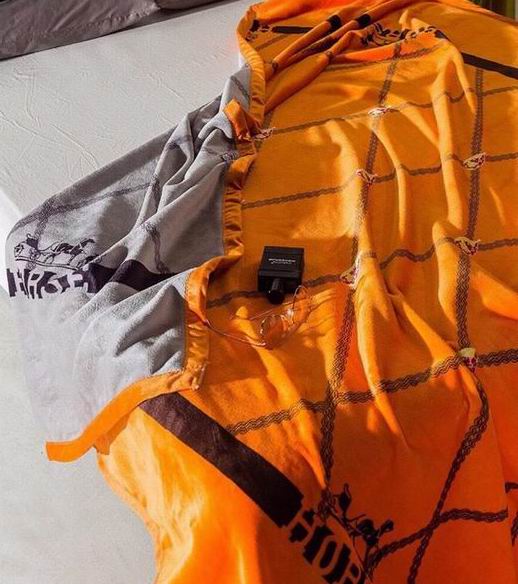 Hermes Blanket sz200X230CM (7)