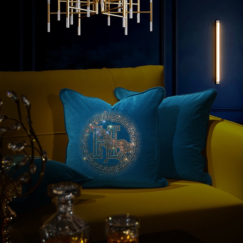 Hermes Cushions 45X45cm   (2)