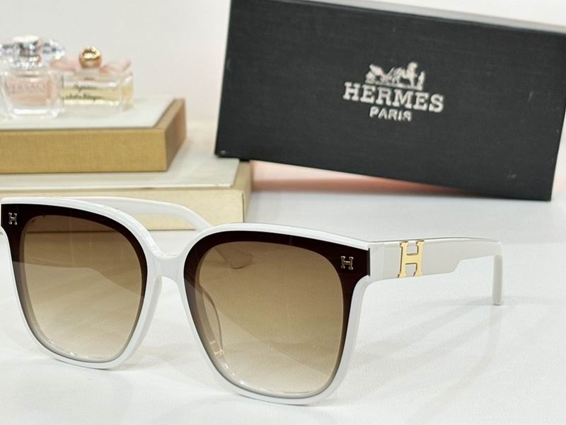 Hermes Glasses sms (13)