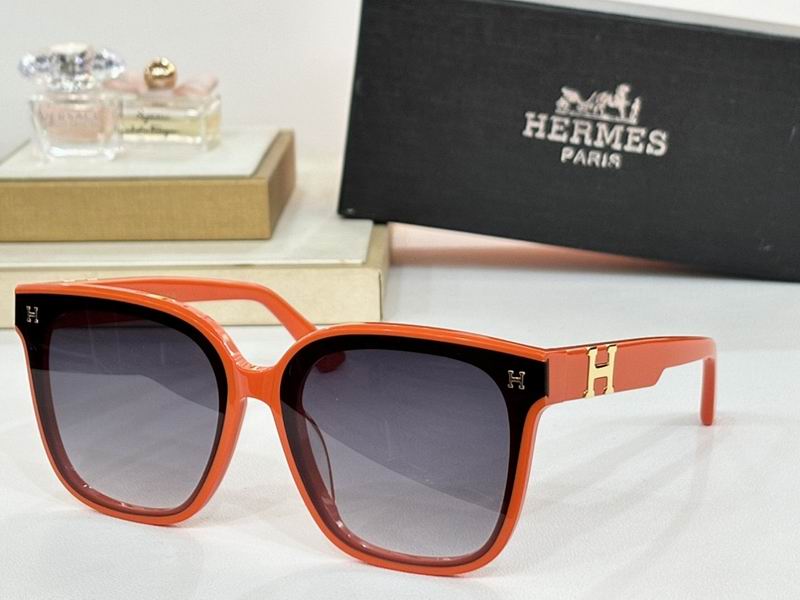 Hermes Glasses sms (14)
