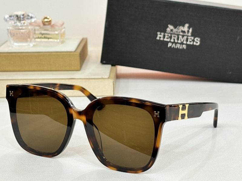 Hermes Glasses sms (15)