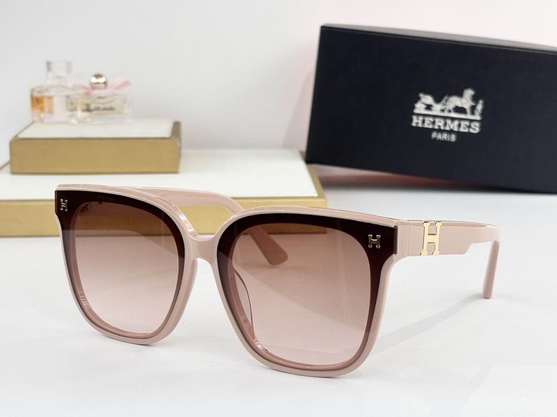 Hermes Glasses sms (16)