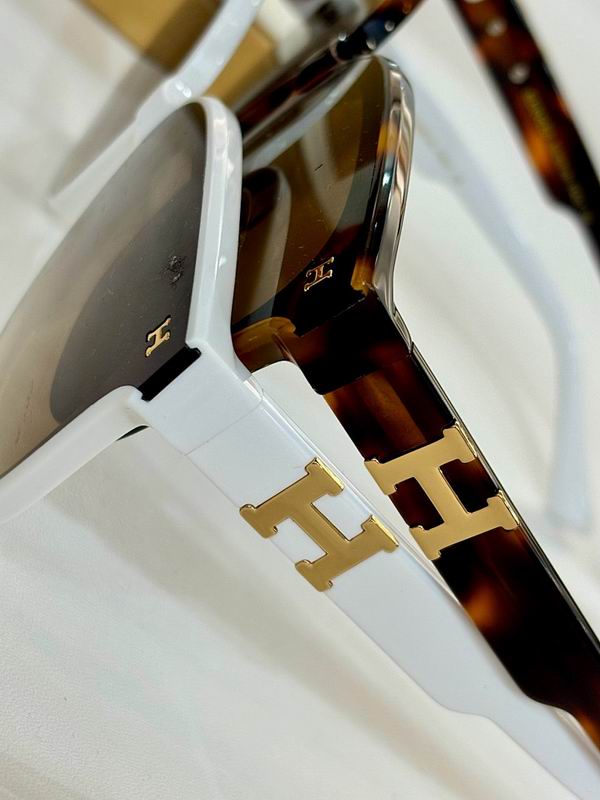 Hermes Glasses sms (18)