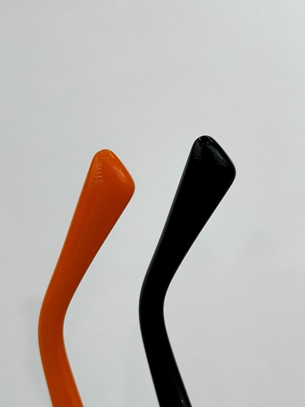 Hermes Glasses sms (28)