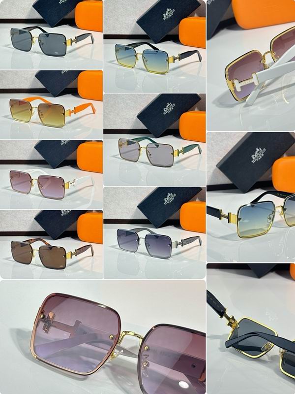 Hermes Glasses sms (31)