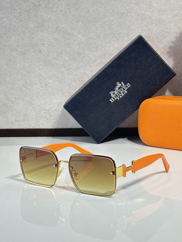 Hermes Glasses sms (33)