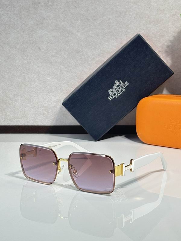 Hermes Glasses sms (35)