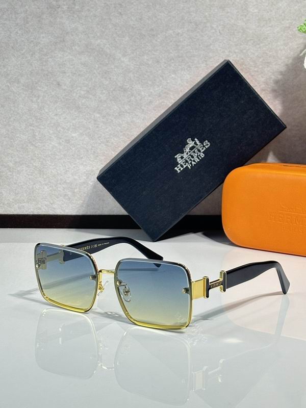 Hermes Glasses sms (36)