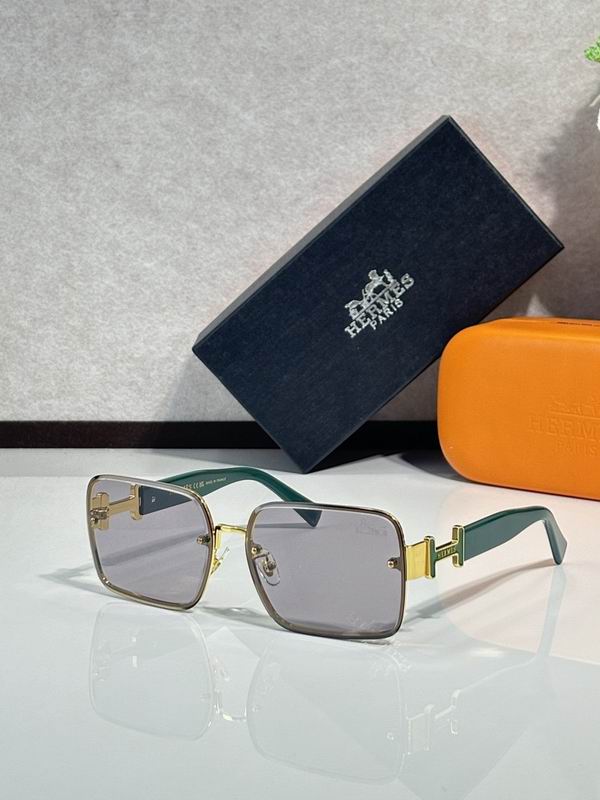 Hermes Glasses sms (37)