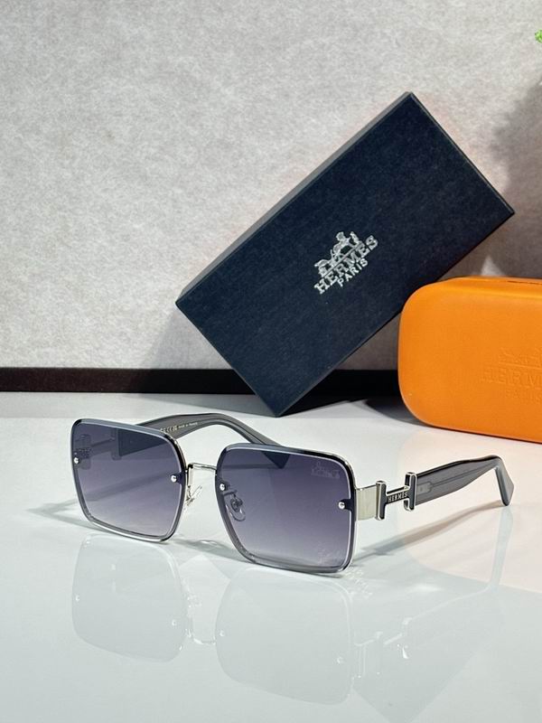 Hermes Glasses sms (38)