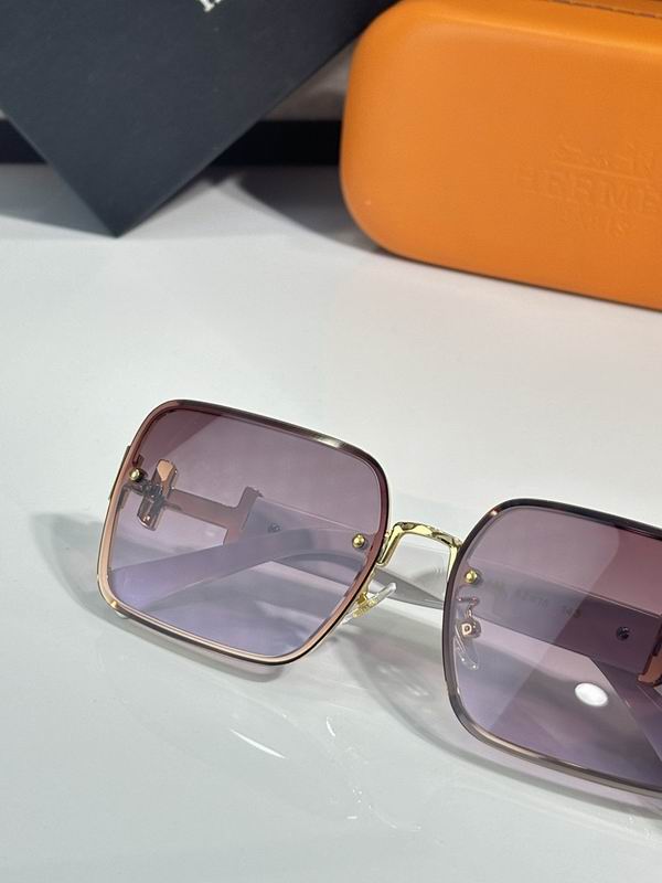 Hermes Glasses sms (39)