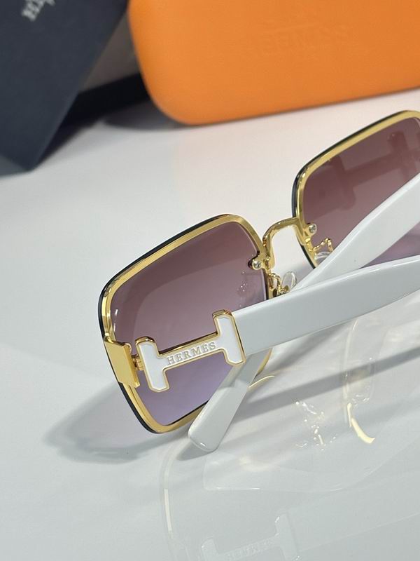 Hermes Glasses sms (40)