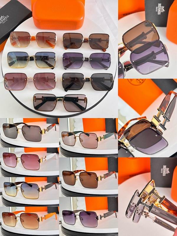 Hermes Glasses sms (41)