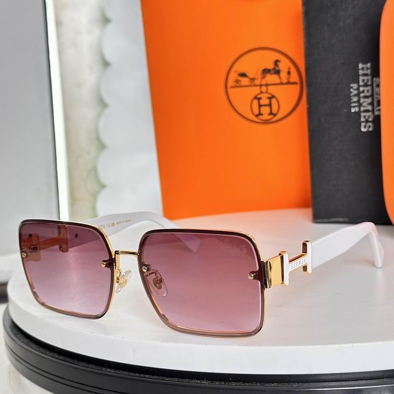 Hermes Glasses sms (43)