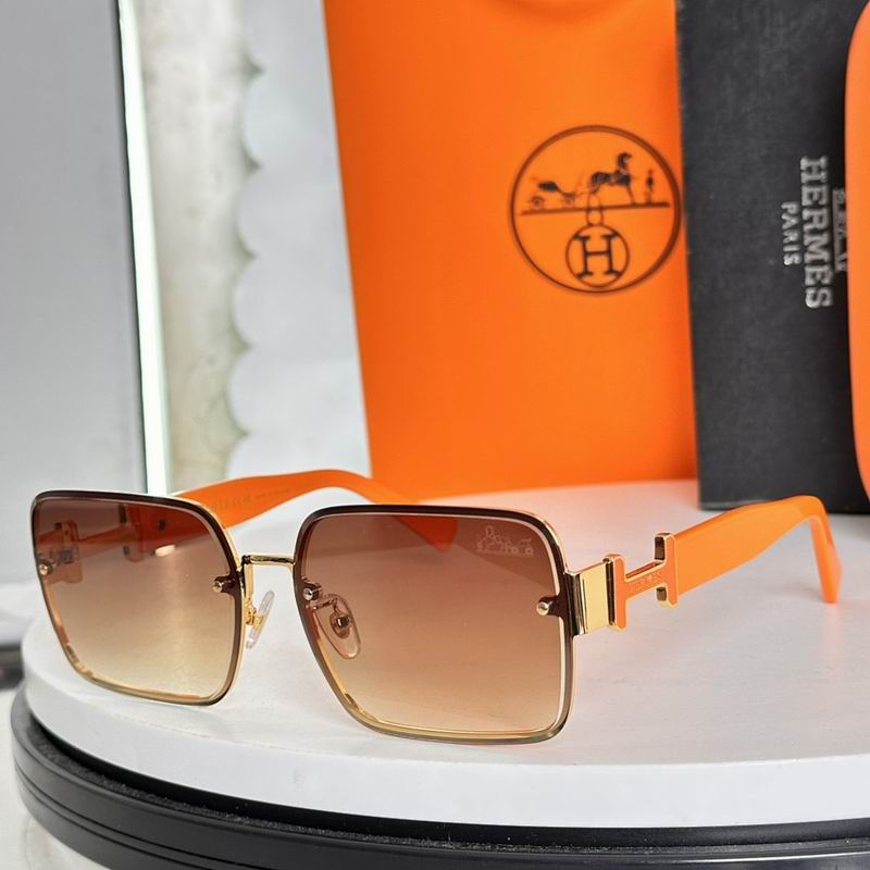 Hermes Glasses sms (45)