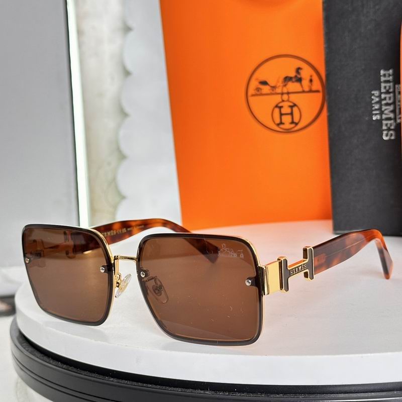 Hermes Glasses sms (47)