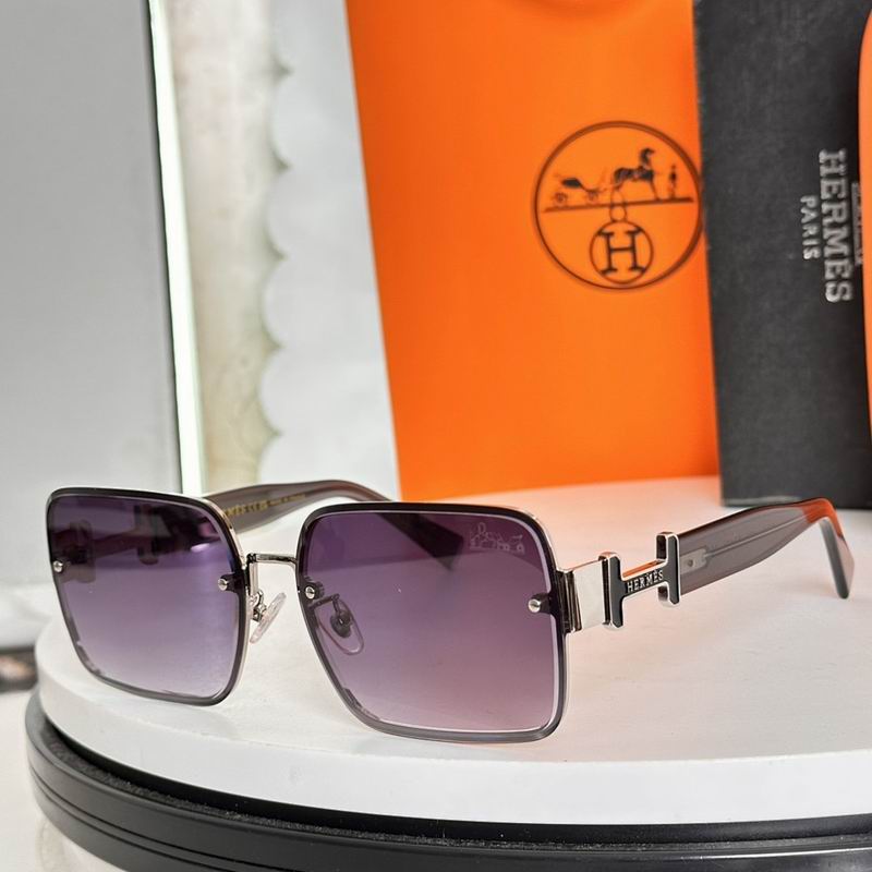 Hermes Glasses sms (48)