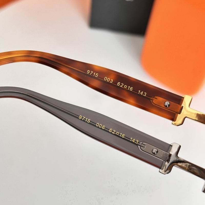 Hermes Glasses sms (49)