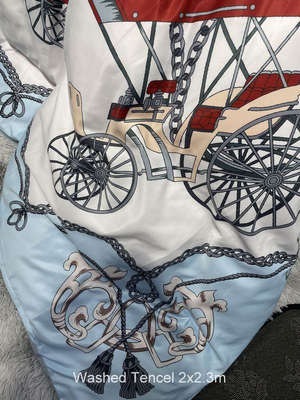 Hermes Washed Tencel 2x2.3 m   (6)