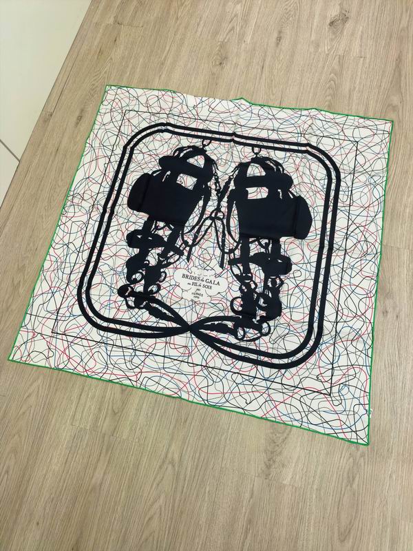 Hermes silk Scarf E (27)