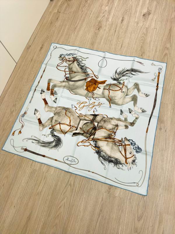 Hermes silk Scarf E (8)