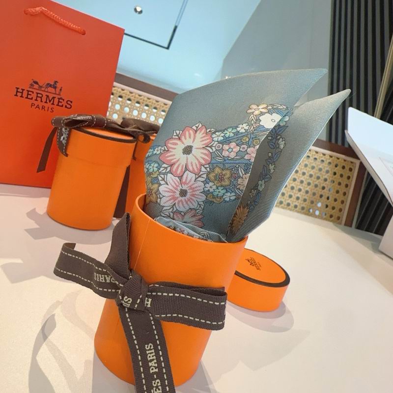 Hermes silk ribbon 5X86.5cm E12 (11)