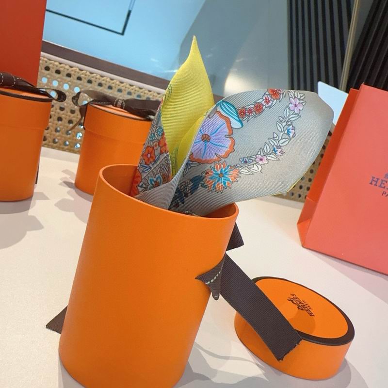 Hermes silk ribbon 5X86.5cm E12 (21)