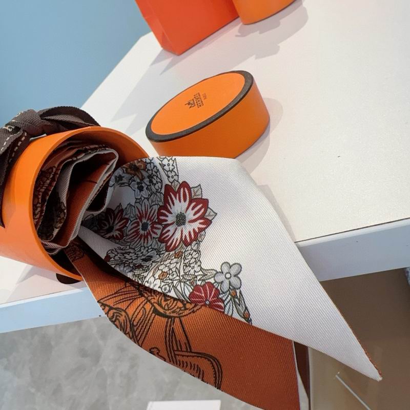 Hermes silk ribbon 5X86.5cm E12 (29)