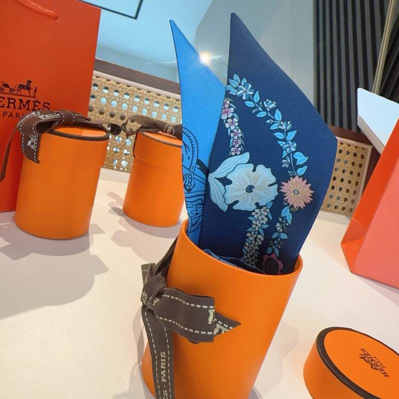 Hermes silk ribbon 5X86.5cm E12 (38)