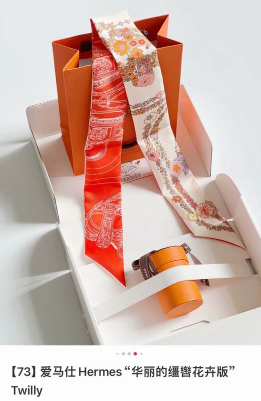 Hermes silk ribbon 5X86.5cm E12 (54)