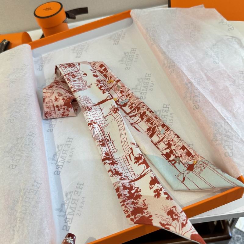 Hermes silk ribbon 5X86cm E06 (46)