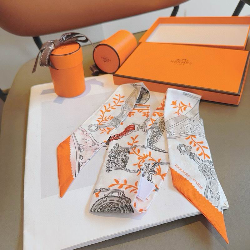 Hermes silk ribbon hm (100)