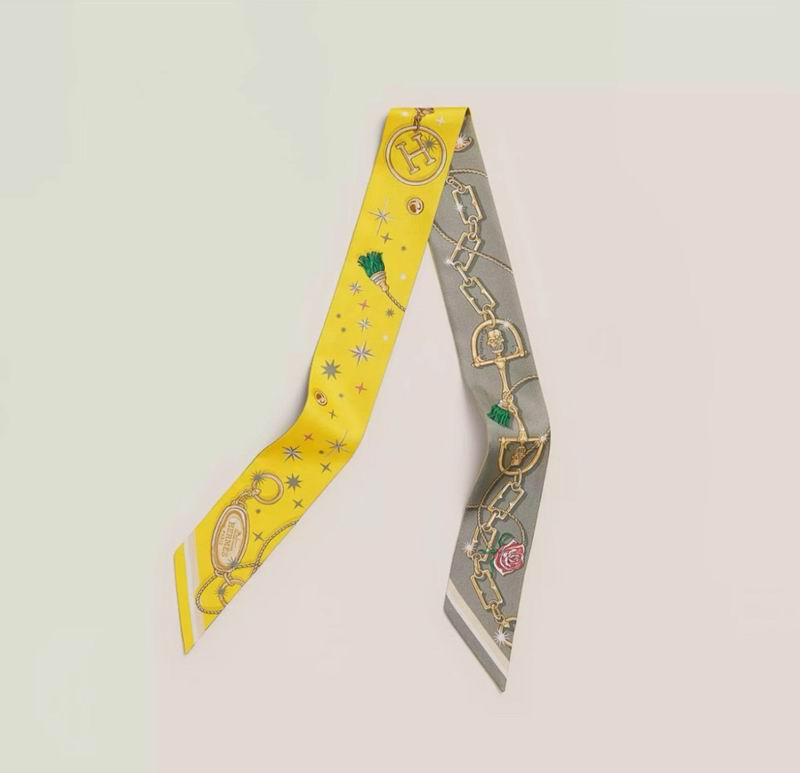 Hermes silk ribbon hm (104)