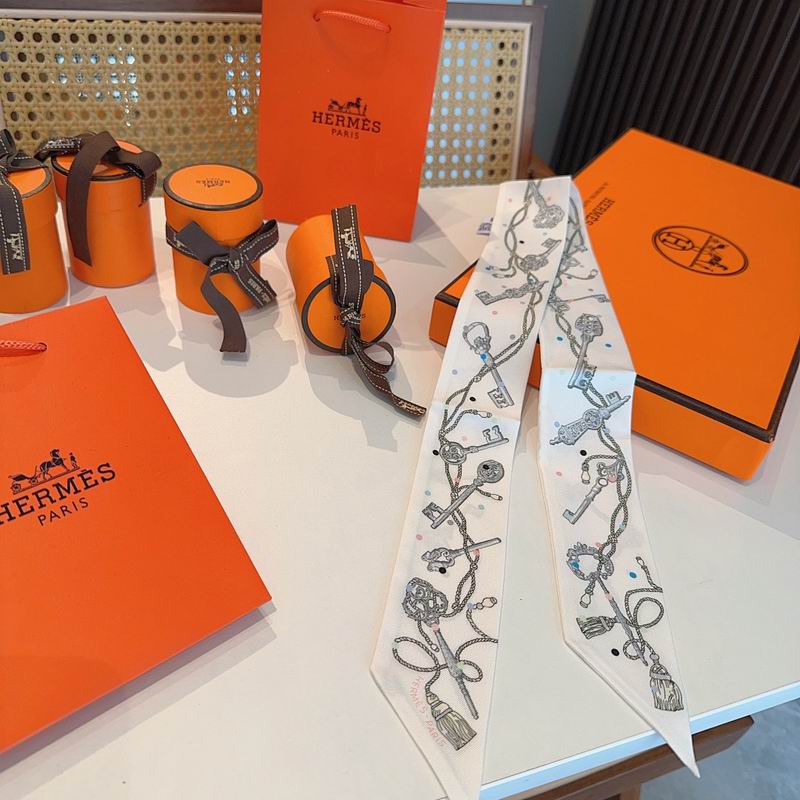 Hermes silk ribbon hm (120)