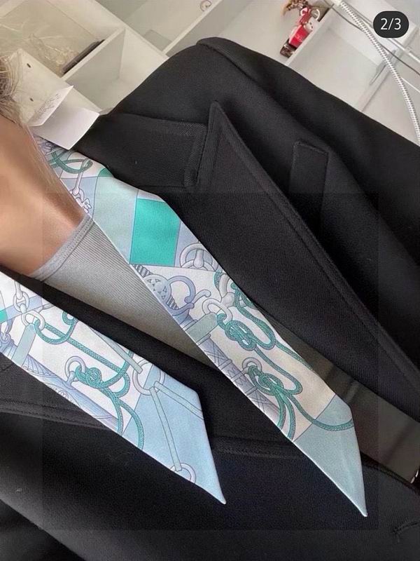 Hermes silk ribbon hm (130)