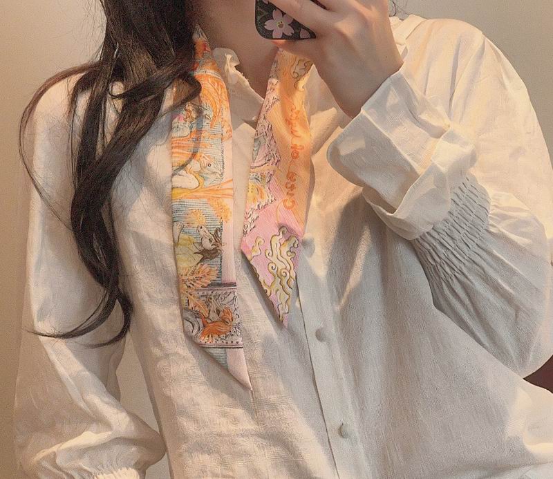 Hermes silk ribbon hm (146)