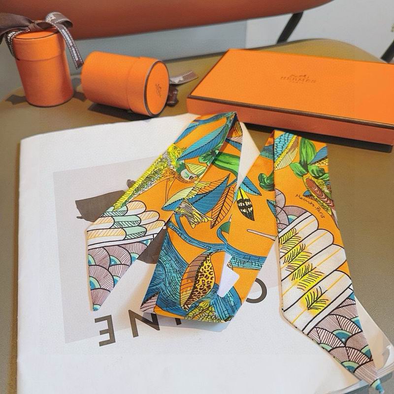 Hermes silk ribbon hm (148)