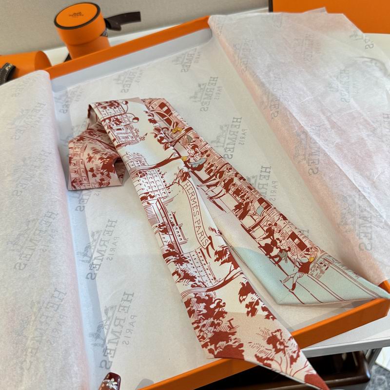 Hermes silk ribbon hm (187)