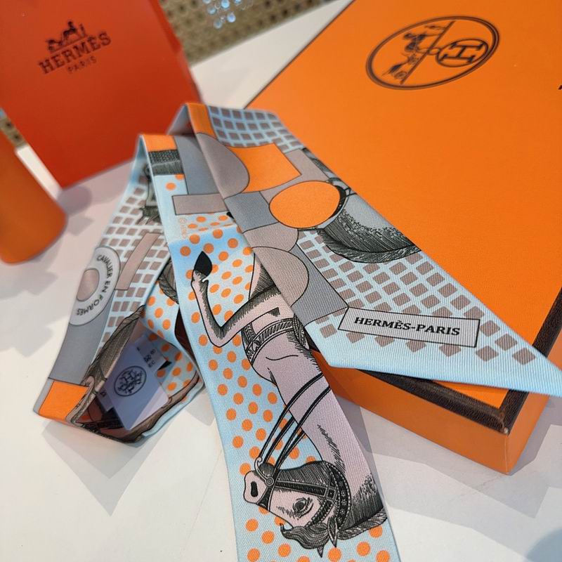 Hermes silk ribbon hm (19)