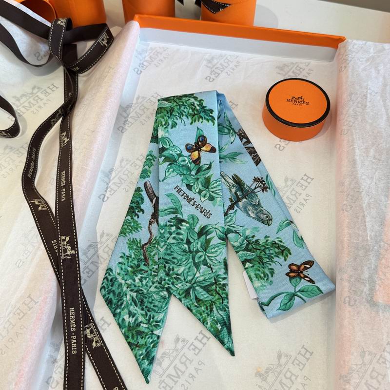 Hermes silk ribbon hm (202)