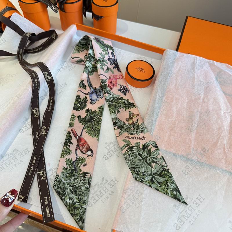 Hermes silk ribbon hm (207)
