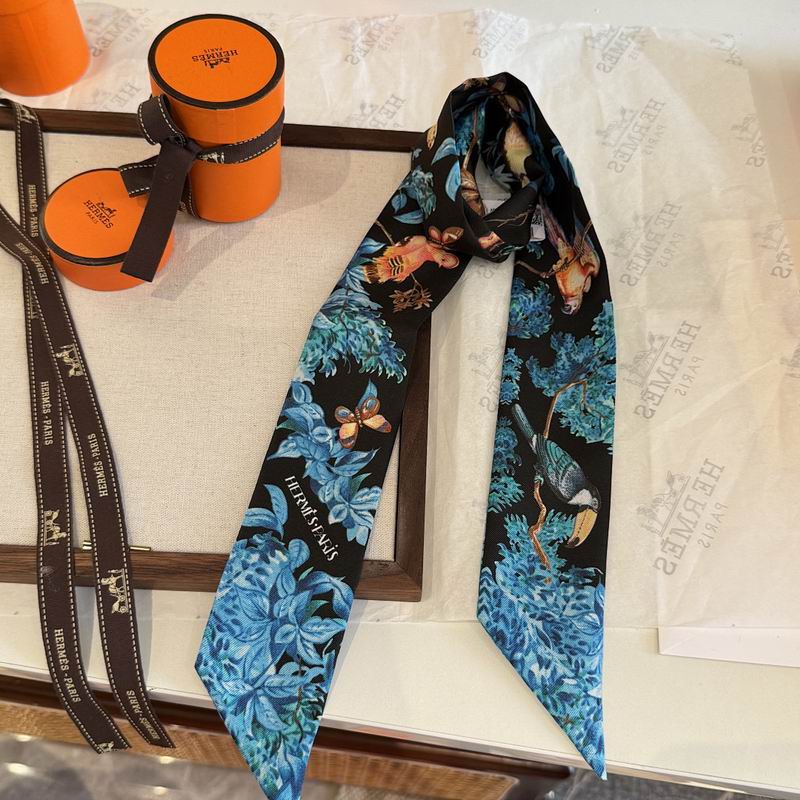 Hermes silk ribbon hm (208)