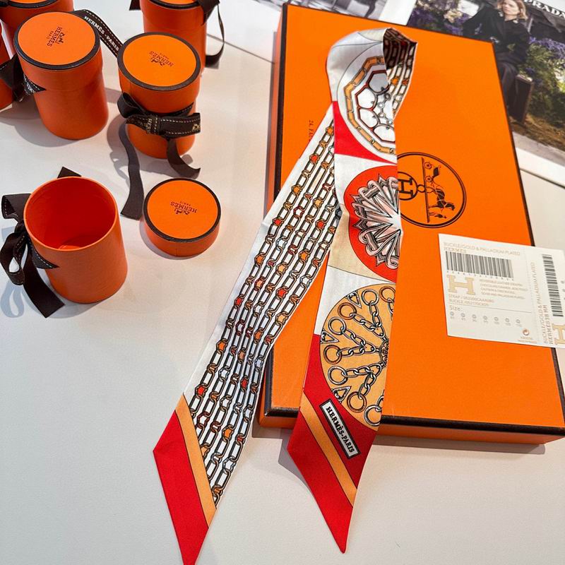 Hermes silk ribbon hm (28)