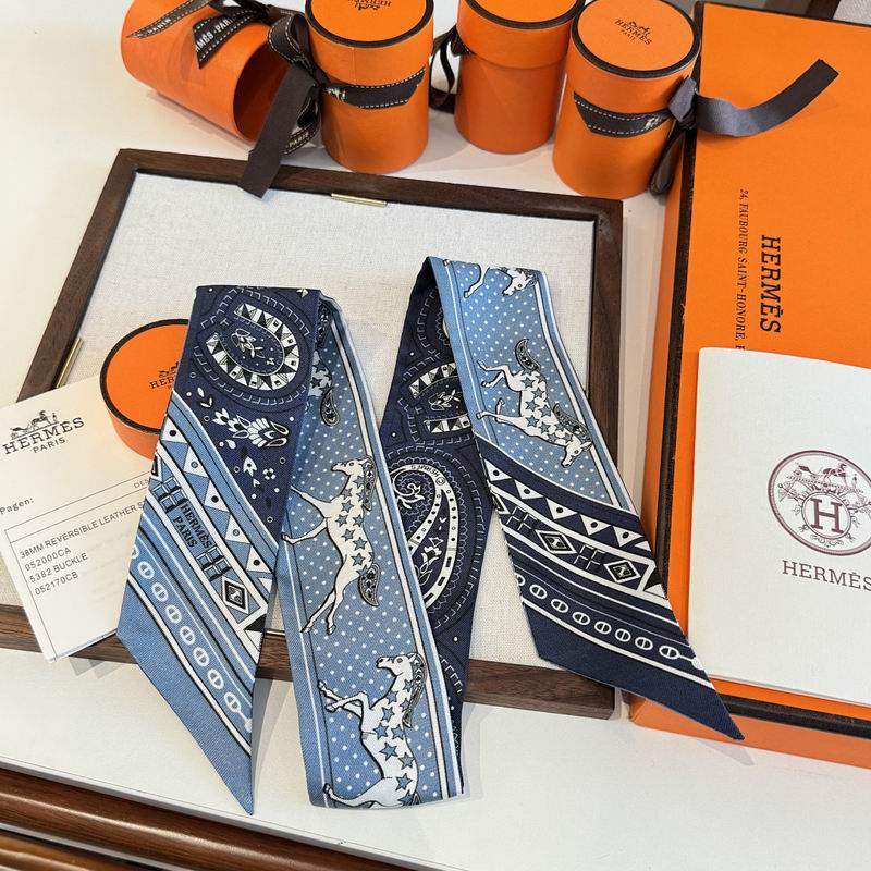 Hermes silk ribbon hm (300)