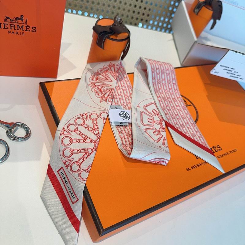 Hermes silk ribbon hm (33)