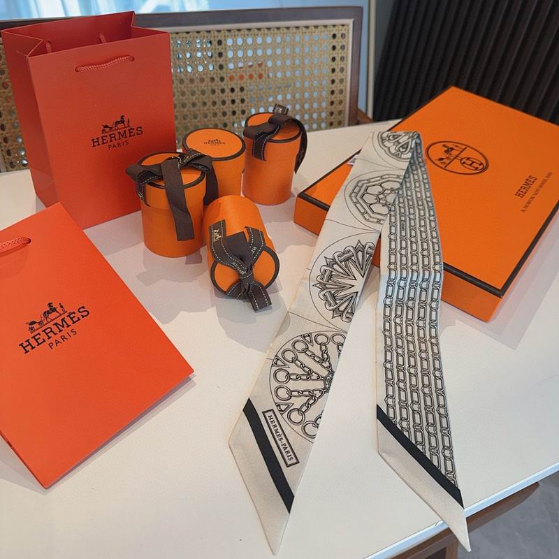 Hermes silk ribbon hm (37)