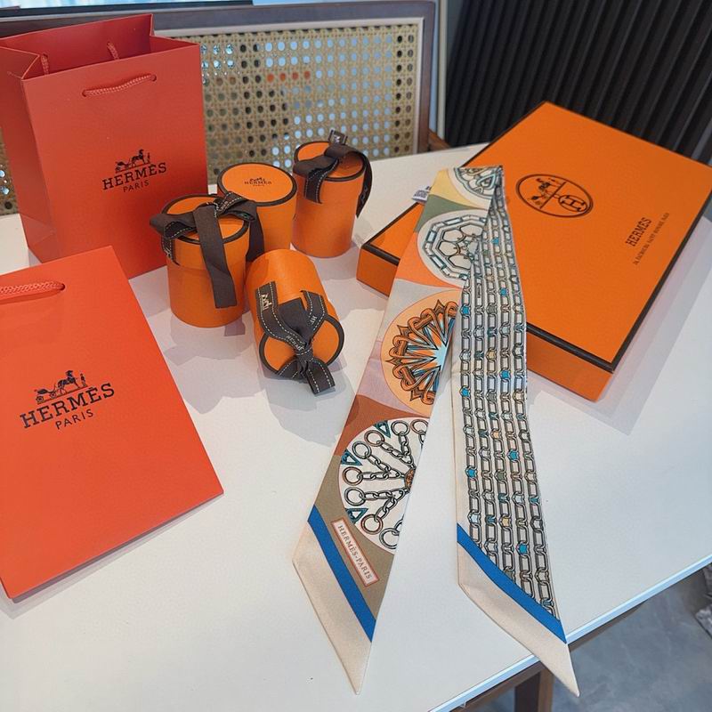 Hermes silk ribbon hm (43)