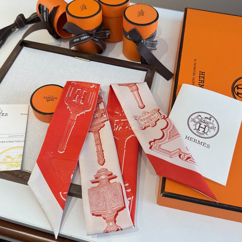 Hermes silk ribbon hm (43)