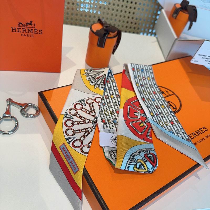 Hermes silk ribbon hm (45)