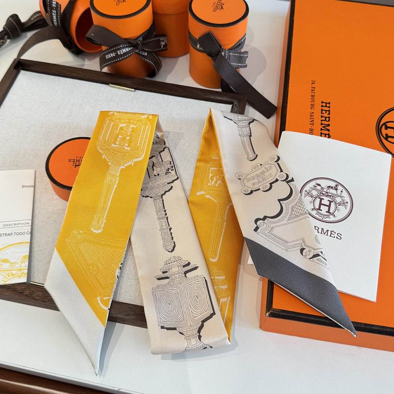 Hermes silk ribbon hm (49)